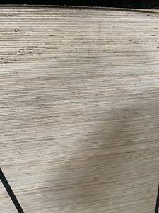 Lámina de Madera Contrachapada Comercial de Cedro Rojo de 4x8, 18 mm, 1220x2440 mm - Product Image 5