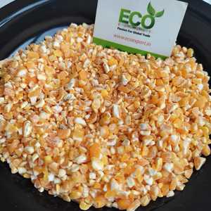 Calidad superior, suministro al por mayor, agricultura, maíz amarillo roto, grano a buen precio de la India - Product Image 2