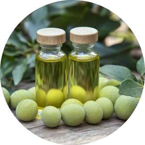 Huile de Tamanu pressée à froid, huile végétale biologique de Tahiti, huile de graines de Tamanu verte pour les soins de la peau - Product Image 3