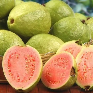 ฝรั่งสีชมพูแห้งคุณภาพสูงจากแม่น้ำเมกง เก็บได้ 12 เดือน ส่วนผสมจากธรรมชาติ 100% - Product Image 3