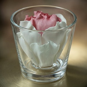 VADEE SOLA WOOD FLOWER SET ROSE Diffuser SET03 6.5CM Rose Poudrée Bâtonnets en Fibre de Plante de Sésbanie Aromathérapie Faits Main Durables - Product Image 2