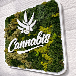 Custom Aluminum Frame Preserved Moss <b>Sign</b> with LED Lighting-Personalized Vertical Garden Company Logo Signage - Product Image 5