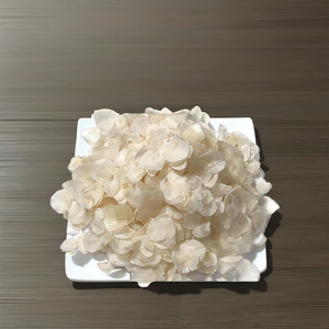 Écailles de poisson séchées pour l'extraction du collagène fabriquées à la main au Vietnam de la marque VIET DELTA - Product Image 1