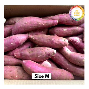 Frozen Sweet Potato <b>Diced</b> For Instant Food Ingredients High Volume Bulk Wholesale Factory Direct Sale - Product Image 3