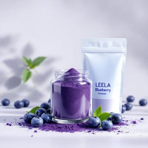 Polvo de Arándanos Premium 100% Natural, Rico en Antioxidantes, Grado Alimenticio, Suministro a Granel - Product Image 5