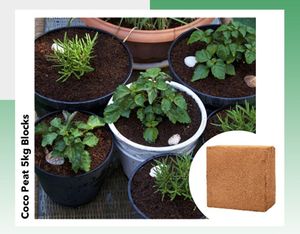 Premium Grade Coconut Coco Pith 5kg Torf blöcke für Pferde bettwäsche - Product Image 5