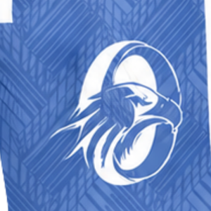 Shorts de sport bleu clair personnalisés pour l'entraînement athlétique, la gym, la course, avec cordon de serrage, séchage rapide, respirants, performance, vêtements de sport, uniforme d'équipe - Product Image 6