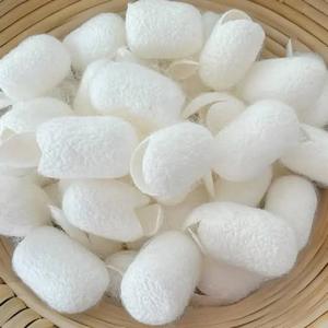 รังไหมธรรมชาติ เมืองโฮจิมินห์ เวียดนาม-ไหมดิบสำหรับอุตสาหกรรมสิ่งทอ ผลิตภัณฑ์ดูแลผิวหน้า ยี่ห้อเวียดเดลต้า - Product Image 4