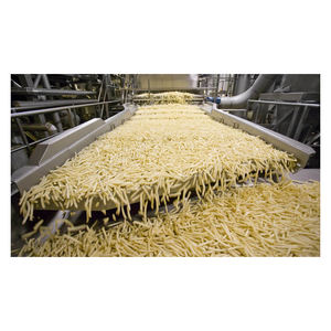 Offres en gros de frites pour les importateurs, les distributeurs et les marchands mondiaux de produits alimentaires - Product Image 6