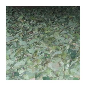 ใบเผือกแห้งสำหรับทำอาหารกินได้ใบเผือกบริสุทธิ์ - Product Image 2