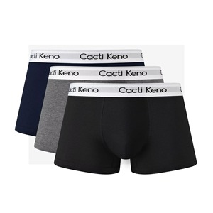 Men's Spandex/Polyester <b>Boxer</b> Briefs-Quick Dry Knitted Fabric <b>Custom</b> Logo Options OEM Service Wholesale Sportswear Supply - Product Image 5