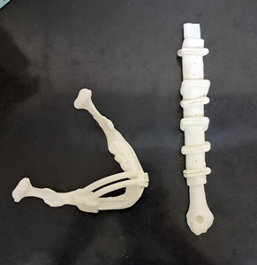 คู่มือการผ่าตัดคุณภาพสูงและแบบจำลองกายวิภาค 3 มิติจากอินเดีย - Product Image 1
