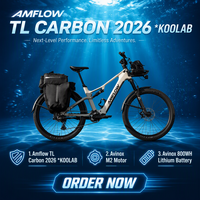 Vélo électrique Amflow TL Carbon 800 Wh avec batterie, nouveau modèle, moteur Dji Avinox M2, unité de transmission 1100W, vélo de montagne électrique Amflow Ebike MTB