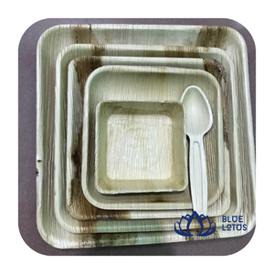 PRODUIT PHARE Assiettes jetables en feuilles de palmier de 10 pouces, compostables et biodégradables, lot de 50, pour camping et fêtes - Product Image 1