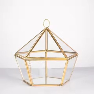 Contemporary <b>Frame</b> Indoor Metal Terrarium Glass Planter Decorative <b>Plant</b> Holder Home Accent - Product Image 1