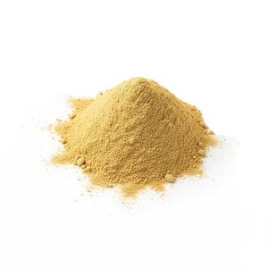 Poudre de gingembre en vrac, prix de gros standard international, meilleure vente, fournie par un fabricant vietnamien - Product Image 2