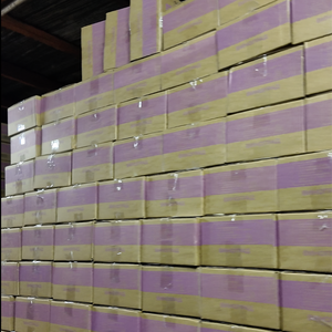 Helado de <span class=keywords><strong>Aguacate</strong></span> al Por Mayor de Fábrica con Chocolate y Caramelos Explosivos, Popular Helado con Forma de <span class=keywords><strong>Aguacate</strong></span> - Product Image 6