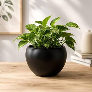 Superbe pot de fleurs en métal et pièces décoratives suspendues, pot de fleurs en métal noir, support de pot suspendu moderne en métal - Product Image 2