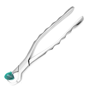 Ensemble de forceps dentaires manuels pour adultes, pinces orthodontiques, instruments chirurgicaux d'extraction dentaire, acier inoxydable, réutilisables, légers, CE - Product Image 3