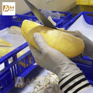 Durian pelé frais Premium Sweet Perfection - Product Image 6