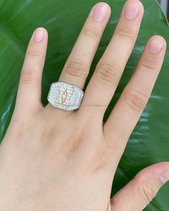 Custom H Letter Moissanite Diamond Hip Hop <b>Ring</b> <b>Iced</b> Initial Letter 925 Sterling Silver Gold Plated Animal Design Men's Champion - Product Image 1