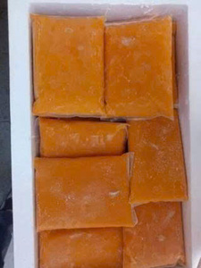 Puré de Mango Congelado de Vietnam, Venta al por Mayor, Proveedor de Pulpa de Mango 100% Natural - Product Image 6