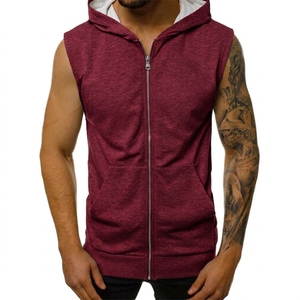 Sweat à capuche personnalisé à séchage rapide pour homme, motif dinosaure, 100 % coton, couleur contrastante, style universitaire - Product Image 4