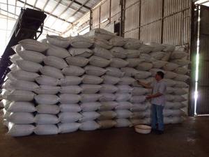 Pimienta Negra Seca Cruda, Especia Individual, 500GL, Calidad FAQ, Limpia a Máquina, Procedente de Vietnam, Baja Contaminación, VILACONIC - Sr. Justin - Product Image 4