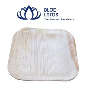 Assiettes jetables biodégradables et compostables en feuilles de palmier de 10 pouces, pack de 50, robustes, pour barbecue en extérieur – Disponibles - Product Image 1