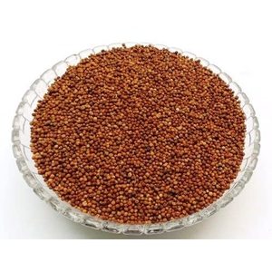 Callicarpa Macrophylla Priyangu Seeds Powder India Manufacturer - Product Image 1