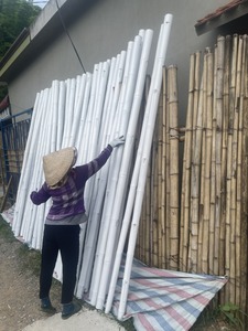 Vietnam Bamboo <b>Pole</b> <b>Garden</b> Stakes Natural Plant Support Sticks <b>for</b> Farming Landscaping and Nursery - Product Image 3