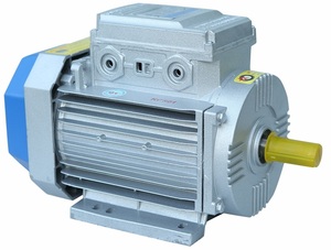 TP-1FVG Single Phase AC Motor 220V 50/60Hz, Copper Core Cast <b>Iron</b> Electric Motor Cast <b>iron</b> housing & copper core - Product Image 2