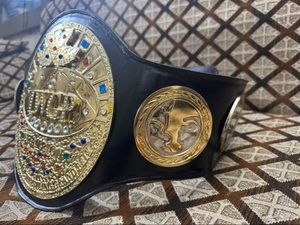 เข็มขัดแชมป์ IWGP ชุบทอง ประดับด้วยเพชรเทียมและอัญมณีหลากสี น้ำหนักเบา 1 ชิ้น เข็มขัดแชมป์ MMA สำหรับทุกเพศ - Product Image 5