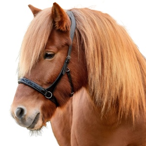 Brida de Cuero de Primera Calidad para Caballo, Estilo Inglés, con Decoración de Cristales Azules, Duradera y Elegante - Product Image 1