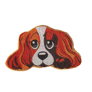 Tapis en fibre de coco sur mesure de haute qualité, style moderne et luxueux, avec imprimé animal écologique, lavable, pour porte. - Product Image 4