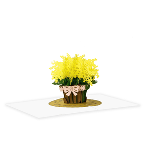 Carte pop-up 3D en forme de pot de mimosa, carte de vœux faite à la main avec enveloppe, carte de vœux florale 3D pour cadeau, carte pop-up pour occasion spéciale - Product Image 2