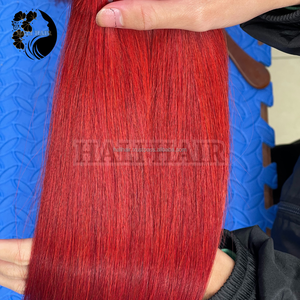 Hali <b>Hair</b> Supply Fast Shipping Super High Quality Machine Double Weft Double Drawn Remy Straight Vietnamese Human Extensions - Product Image 2