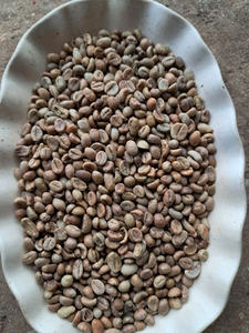 เมล็ดกาแฟโรบัสต้าเวียดนามคุณภาพเยี่ยม รสชาติกลมกล่อม สำหรับชงเอสเพรสโซ  แบบดิบ ไม่ผ่านการคั่ว  บรรจุถุง PP ขนาด 60 กก. สำหรับส่งออกจากเวียดนาม - Product Image 5