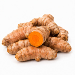 Vietnam Manufacturer Supply Special Offer Hot Sale International Standard Delicious Whole <b>Fresh</b> Turmeric 10kg - Product Image 5