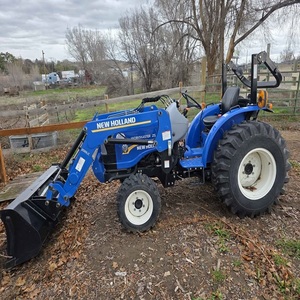 Nuevo Tractor Agrícola New Holland Workmaster 25S 4WD con Motor, Bomba, Caja de Cambios y Rodamientos como Componentes Principales - Product Image 1