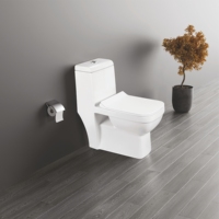 Offre Spéciale – WC Monobloc Moderne en Céramique Contemporaine avec Abattant à Fermeture Douce pour Maison et Hôtel