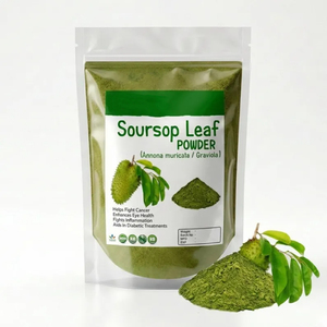 Polvo de Hoja de Guanábana de Alta Calidad para Té, Bueno para la Salud - Los Mejores Precios al por Mayor, a Granel y OEM - Product Image 1
