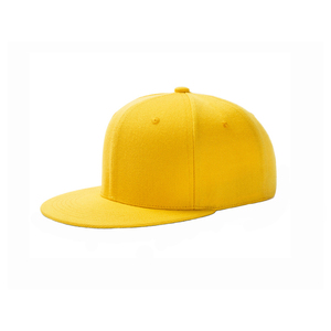 Wholesale Custom Color and logo Hip-hop <b>Hat</b> Sunproof <b>Flat</b> Brim Sports <b>Hat</b> Embroidery logo Adjustable Snapback <b>Hats</b> - Product Image 5