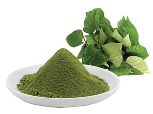 NATURAL VIETNAM Fish Mint Powder/Houttuynia Cordata Powder 100g Stand Up Pouch for Smoothies Drinks Soups and Daily Nutrition - Product Image 3