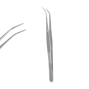 High Quality London College 15cm Stainless Steel Dental Cotton Plier Manual Forceps Manufacturer In Pakistan - Product Image 1