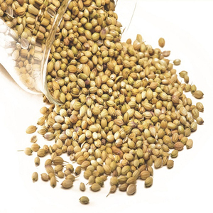 Graines de coriandre séchées naturelles pures Hew Harvest à faible MOQ pour l'assaisonnement alimentaire et la cuisine - Product Image 4