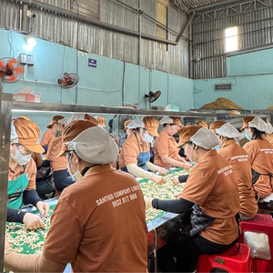 ผู้จัดจำหน่ายเม็ดมะม่วงหิมพานต์ที่เชื่อถือได้ WW180, WW240 เม็ดมะม่วงหิมพานต์แบบขายส่ง W320 เม็ดมะม่วงหิมพานต์จากซานติโก เวียดนาม - Product Image 4