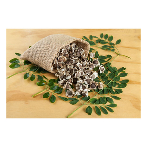 Graines de Moringa naturelles disponibles pour les besoins de plantation agricole - Product Image 5
