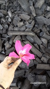 Premium Vietnamese Khaya Hard Wood Charcoal | High Calorific Value Lump Shape <b>BBQ</b> Supplier - Product Image 2
