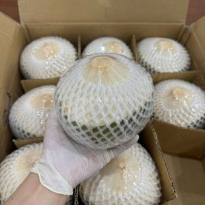 Fournisseur de noix de coco fraîches du Vietnam, noix de coco vertes jeunes de qualité supérieure - Product Image 6